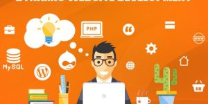 Website Development Services