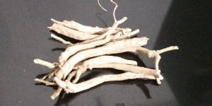 Ashwagandha Roots 135