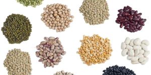 Indian Pulses