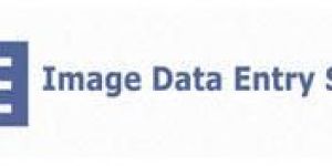 Image Data Entry Services