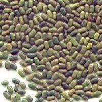 Sesbania Seeds