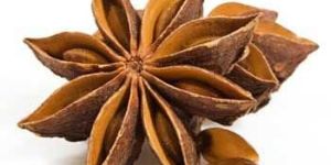 Star Anise