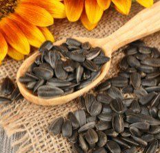 Sunflower Seeds
