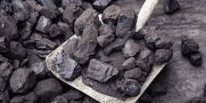 Coal Logistics Service