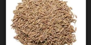 Cumin Seeds