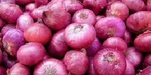 Fresh Red Onion