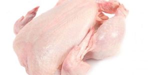 Frozen Chicken Meat