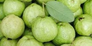 Fresh Guava