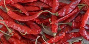 Wonder Hot Dried Red Chilli with Stem