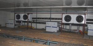 Dehumidifier Rental Services