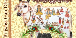 Brijwasi Gau Dhoop