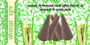 Kewda Dhoop