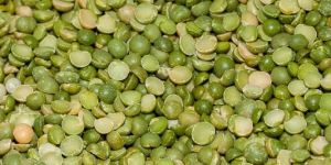 Split Green Lentil