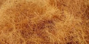 Coconut Fiber