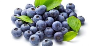 Fresh Blueberry