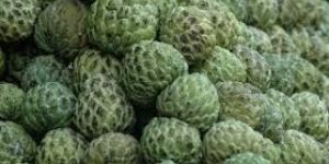 Fresh Custard Apple