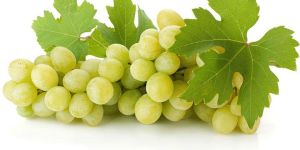 Fresh Grapes