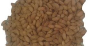 Mamra Kashmiri Almond Kernels
