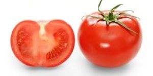 Fresh Tomato