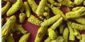 Natural Turmeric Finger