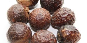Rita Seed or Soap Nut Powder