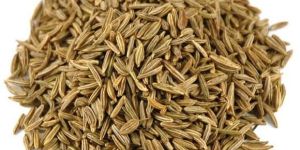 Caraway Seeds