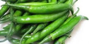 Green Chilli