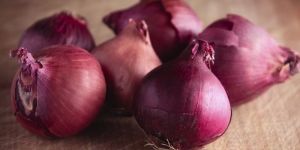 Fresh Red Onion