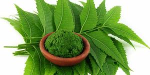 Neem Leaves