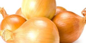 Yellow Onion
