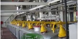 Vegetable Oil Processing Plant