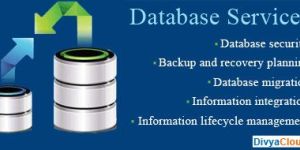 Database Software