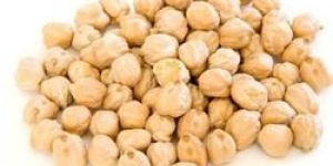 White Chickpeas