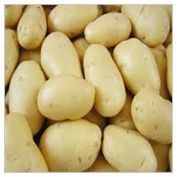 Fresh Potato