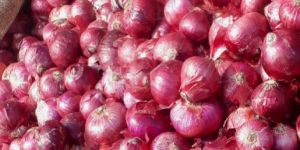 Red Onion