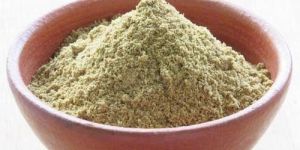 Roasted Coriander Powder