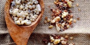 Organic Boswellia Serrata