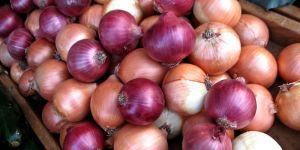 Onions