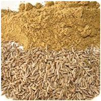 Cumin Seed