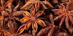Star Anise