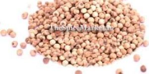 Vellai Kundumani, Ratti Seeds