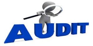 Statutory Audit