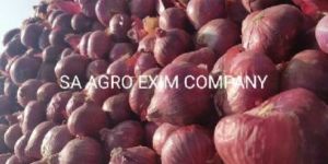 RED ONIONS WELL DRIED