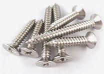 Stainless Steel Self Tapping Screw