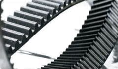 Timing Belts