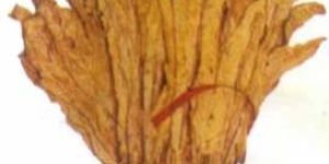 Flue Cured Virginia (SBS)