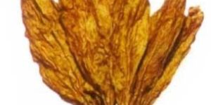 Flue Cured Virginia (SLS)