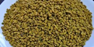 Fenugreek Seeds