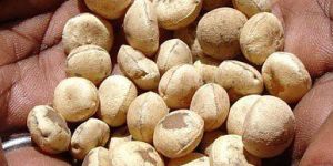 Nirmali Seeds ( Strychnos Potatorum)