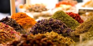 Spray Dried Vegetable Powder